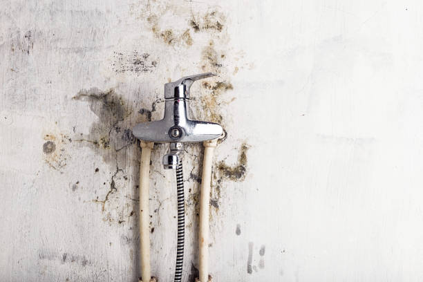 Best Basement Mold Remediation in Moorestown Lenola, NJ