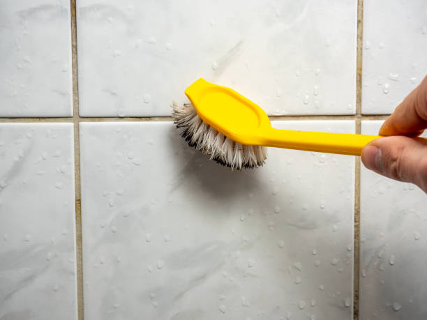 Best Kitchen Mold Remediation in Moorestown Lenola, NJ