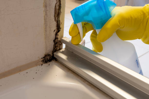Best Preventive Mold Services in Moorestown Lenola, NJ