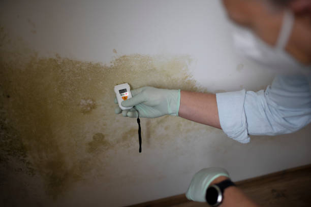 Best Health and Safety Mold Remediation in Moorestown Lenola, NJ
