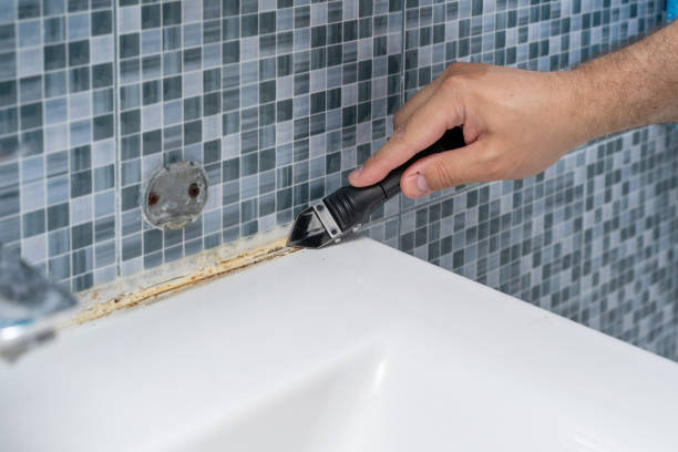 Best White Mold Remediation in Moorestown Lenola, NJ