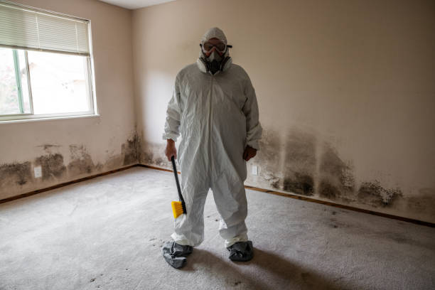 Moorestown Lenola, NJ Mold Remediation Company