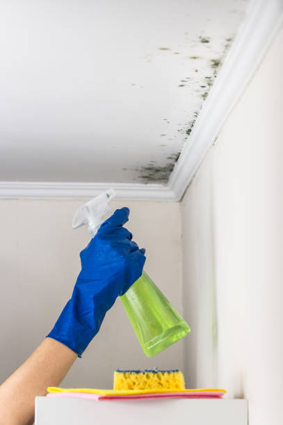 Best Mold Remediation for Specific Building Types in Moorestown Lenola, NJ